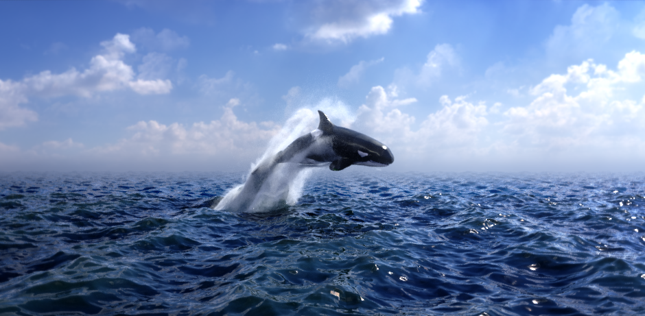 Orca FLIP FX Sequence